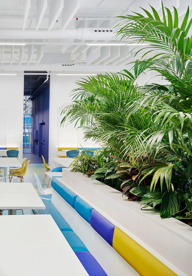 KIDOM restaurante y ocio infantil - CASTELLÓN