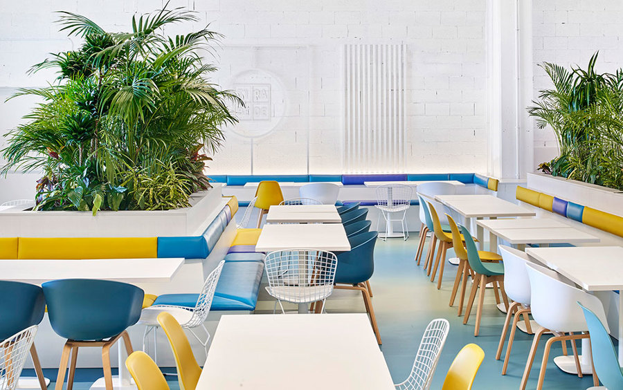 KIDOM restaurante y ocio infantil - CASTELLÓN