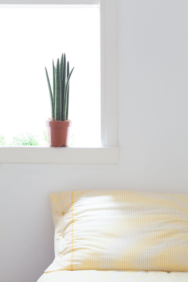 La habitación amarilla