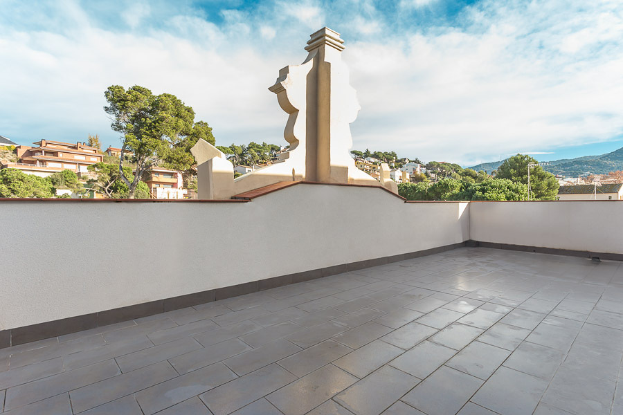 La luz un factor clave