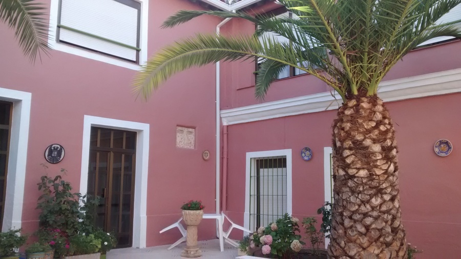 la palmera de 200 años