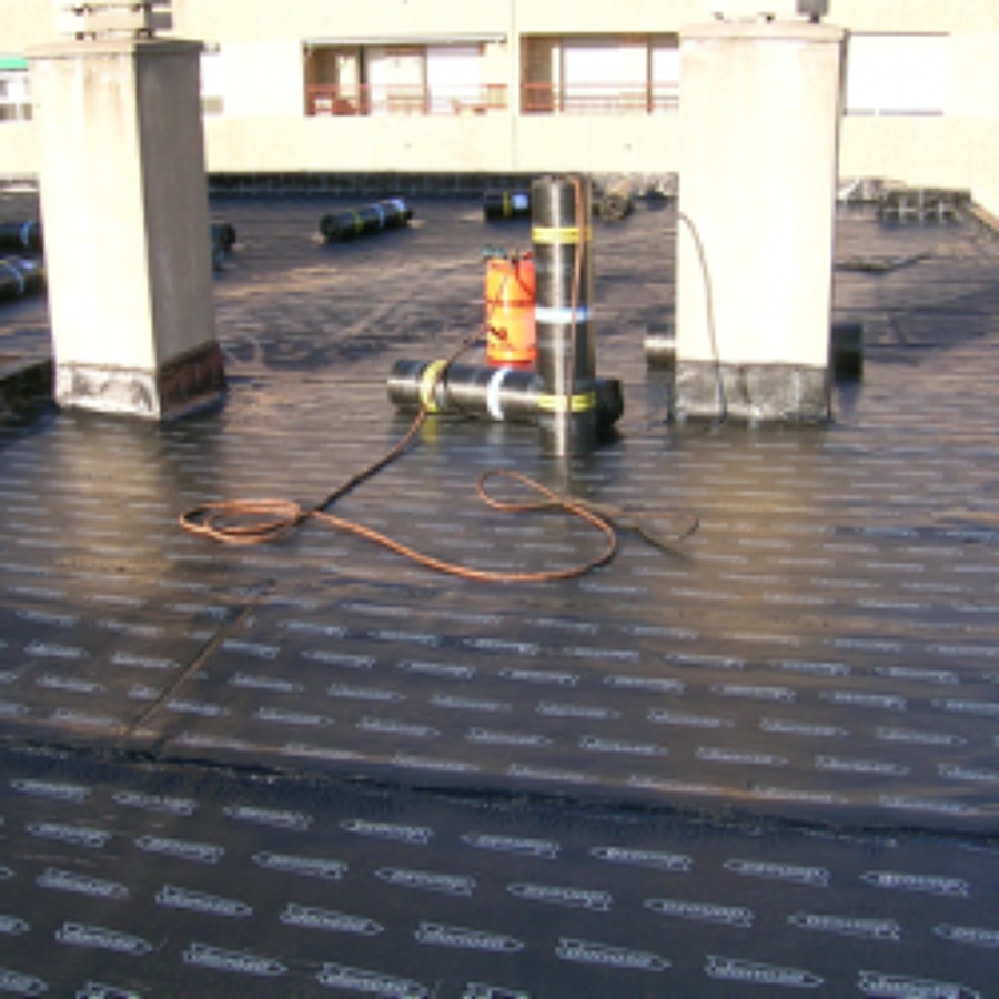 Lámina no protegida