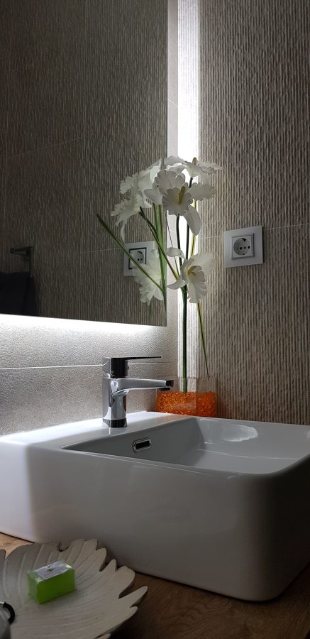 Lavabo sobre encimera