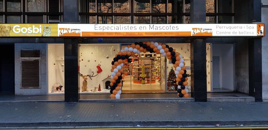 Licencia de Actividad