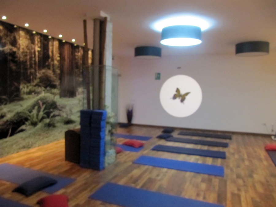 Licencia de actividad gimnasio