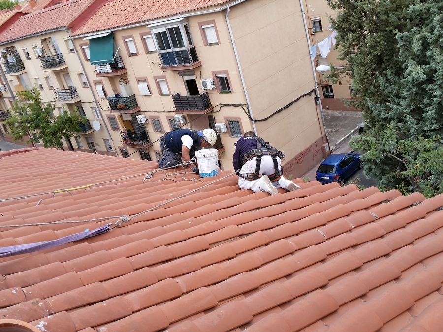 LIMPIEZA DE CANALONES