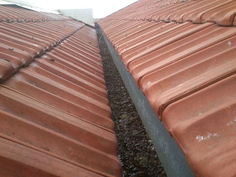 Limpieza de canalones e instalación