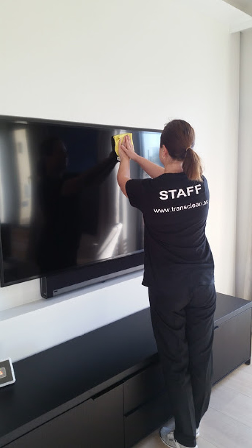 limpieza de la sala de estar