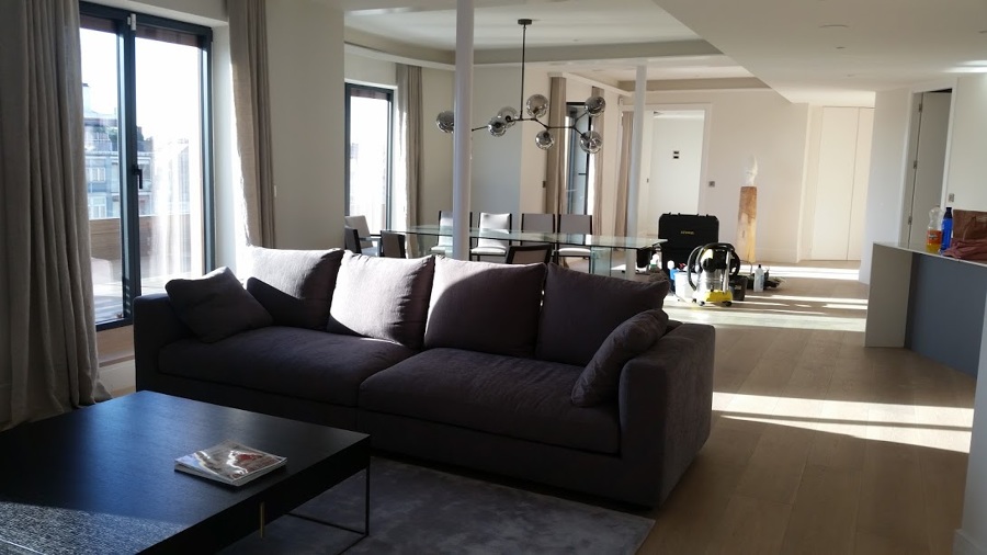 limpieza de la sala de estar