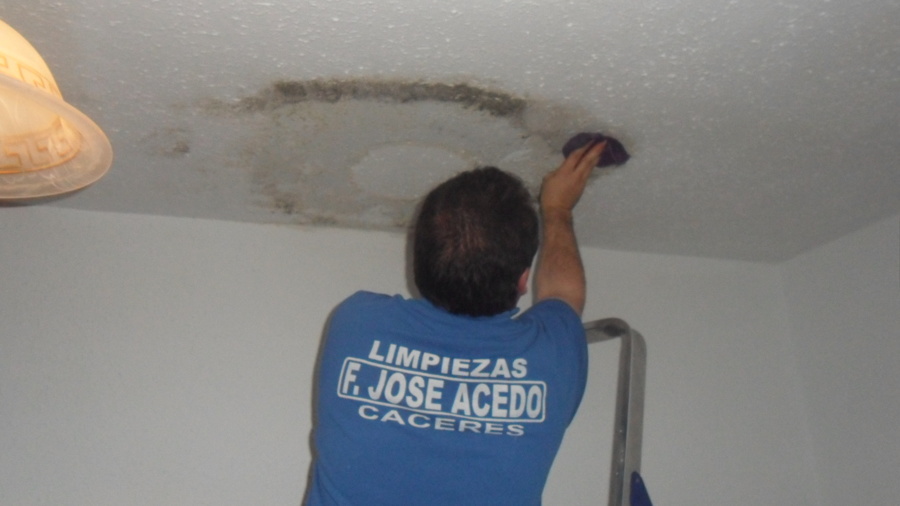 Limpieza de Paredes y Techos