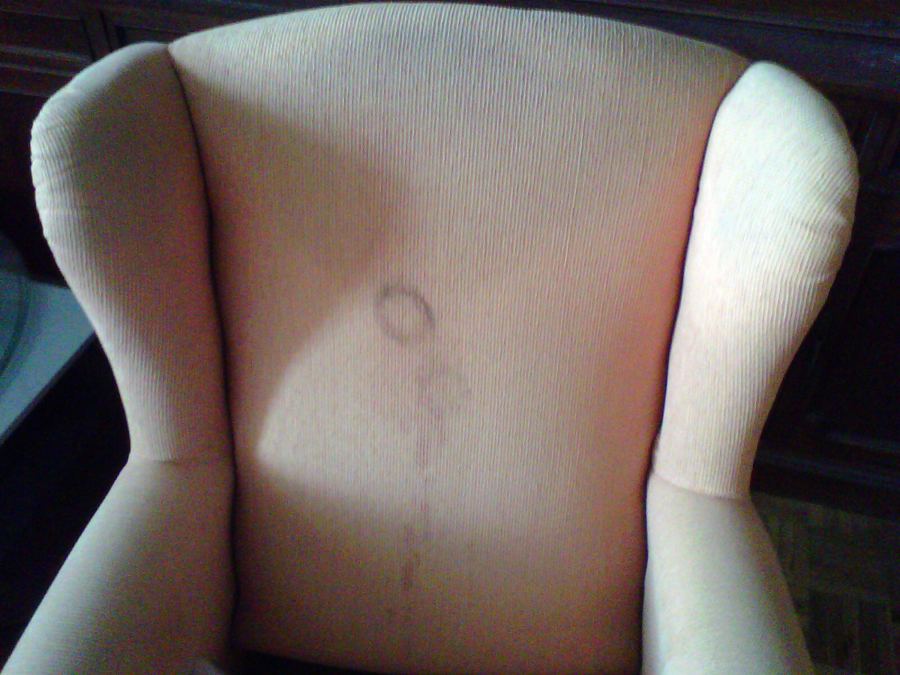 Limpieza de Tapicerias 