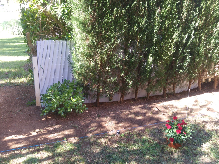 limpieza y nivelación del terreno...