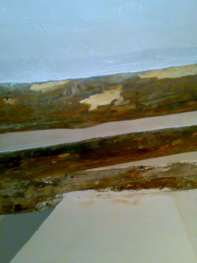 LIMPIEZA Y TRATAMIENTO ANTICARCOMA PARA MADEROS