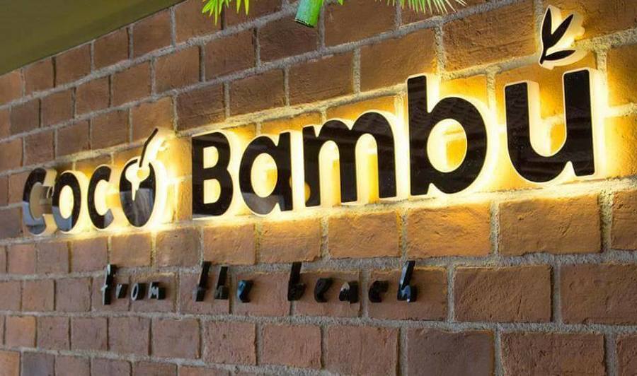 Logotipo coco bambú