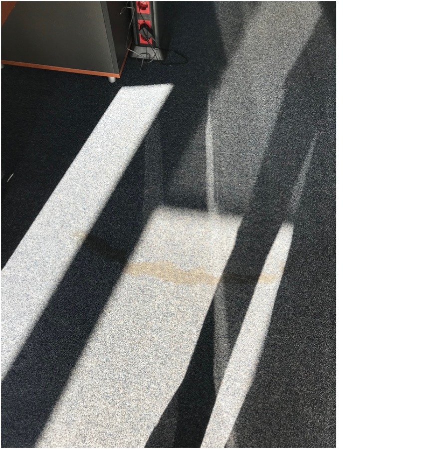 Manchas de café en la moqueta