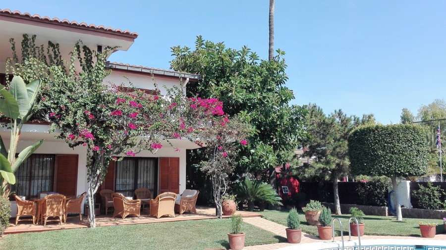 Mantenimiento de jaedin