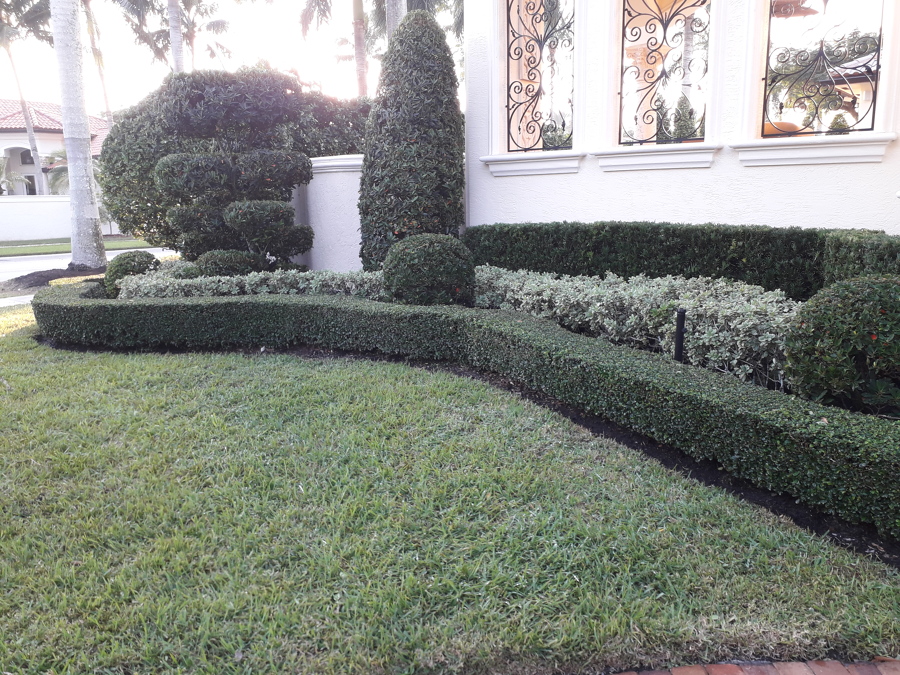 Mantenimiento de Jardines