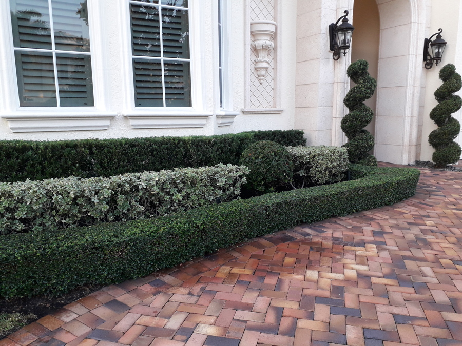 Mantenimiento de Jardines