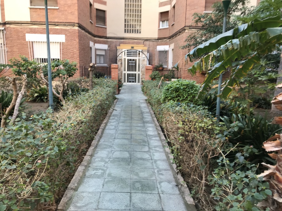 Mantenimiento de jardines comunitario