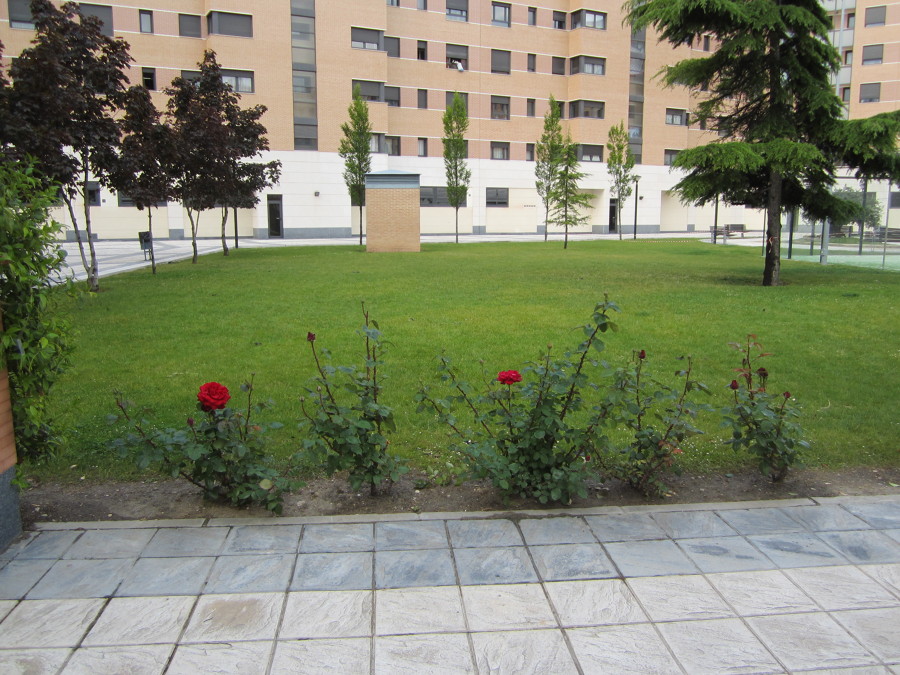 Mantenimiento de jardines