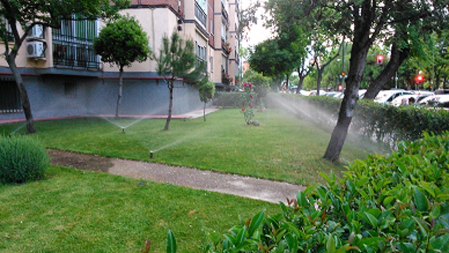 mantenimiento del jardin 4