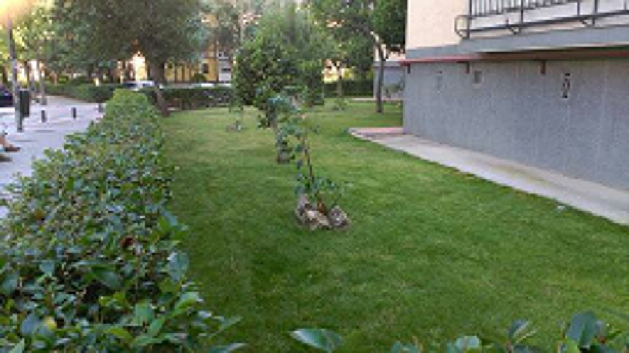 mantenimiento del jardin 6