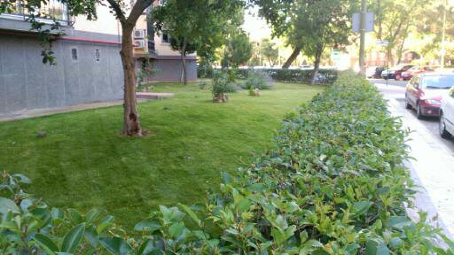 mantenimiento del jardin 7