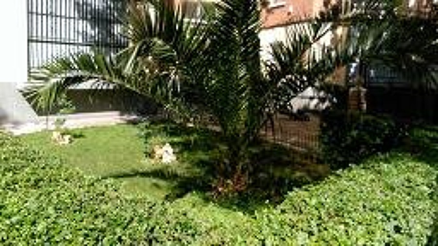 mantenimiento del jardin 8