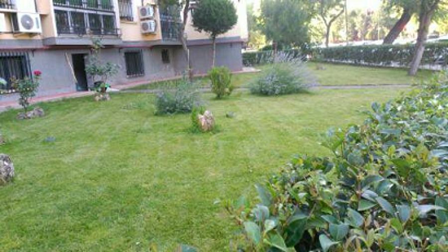 mantenimiento del jardin 8