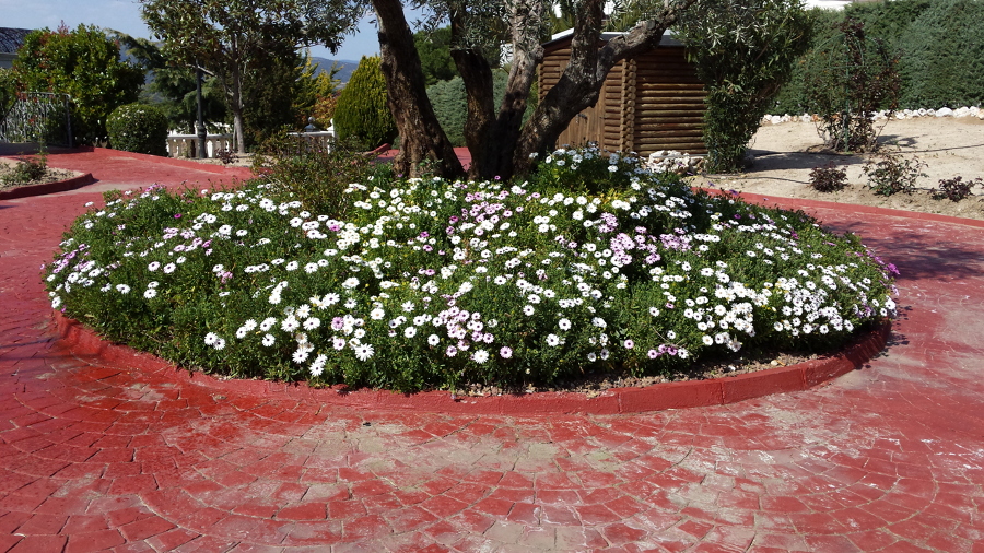 mantenimiento general jardin