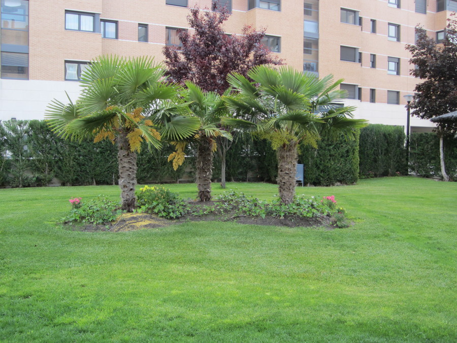 Mantenimiento integral de edificios y jardines