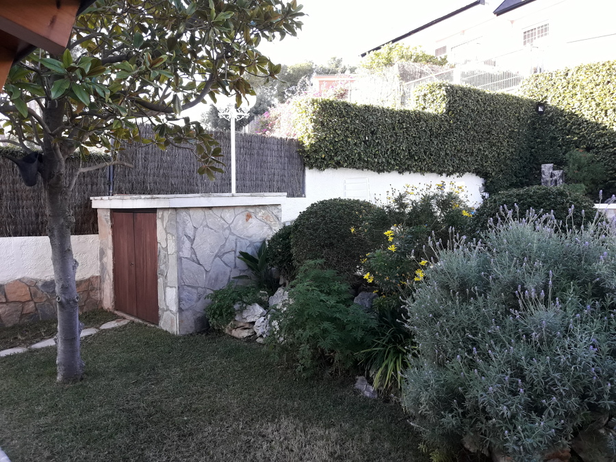 Mantenimiento Jardin , poda de valla de enredaderas