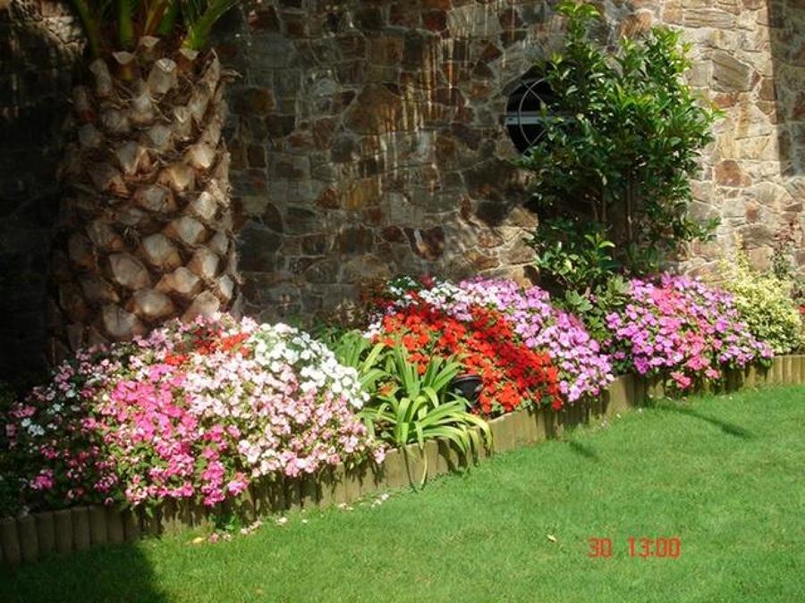 Mantenimiento plantas