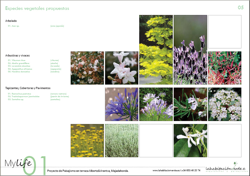 Mapa de especies botánicas