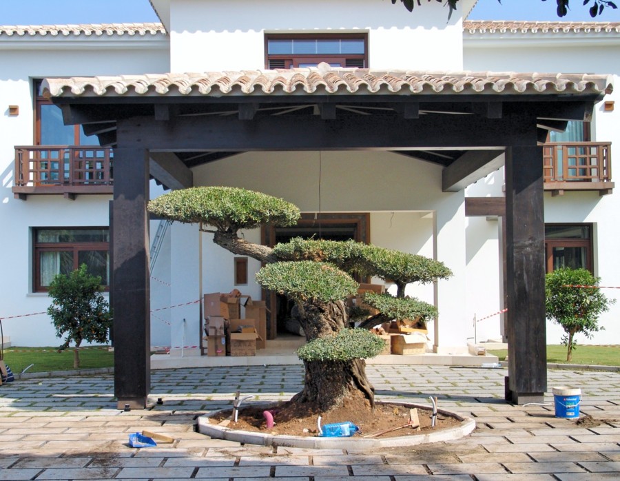 Marquesina de madera