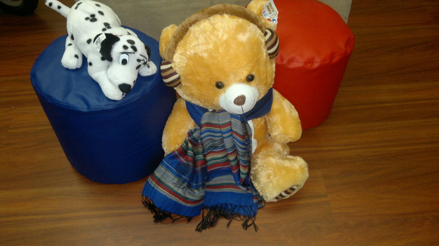 Mascota con buena compañia 