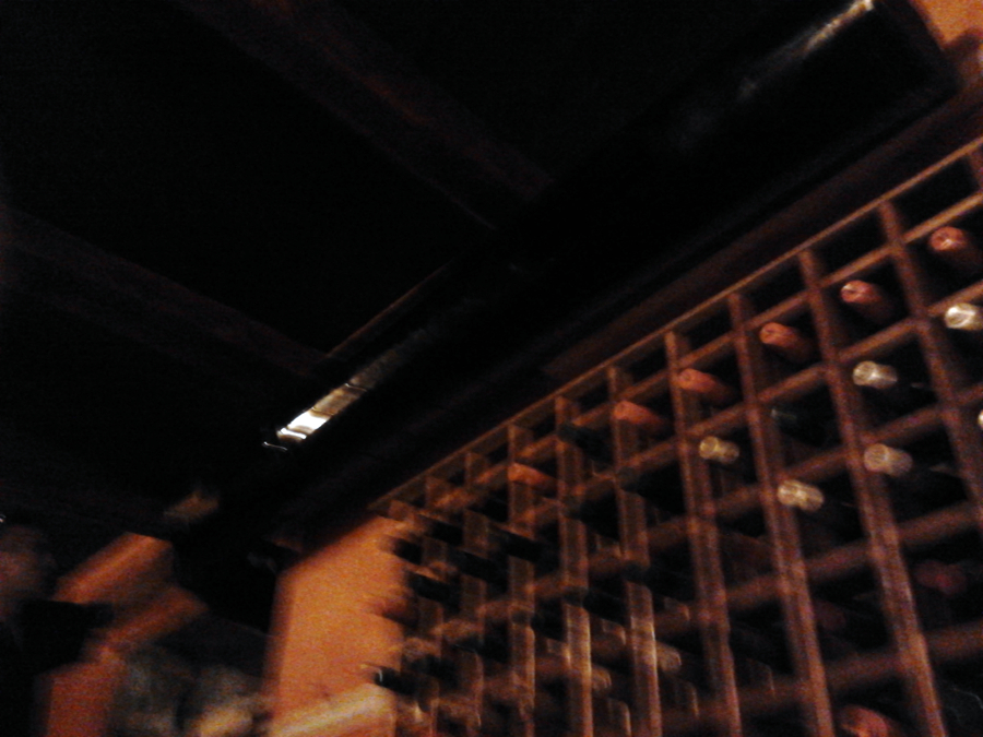 MIMETIZADO CON EL AMBIENTE