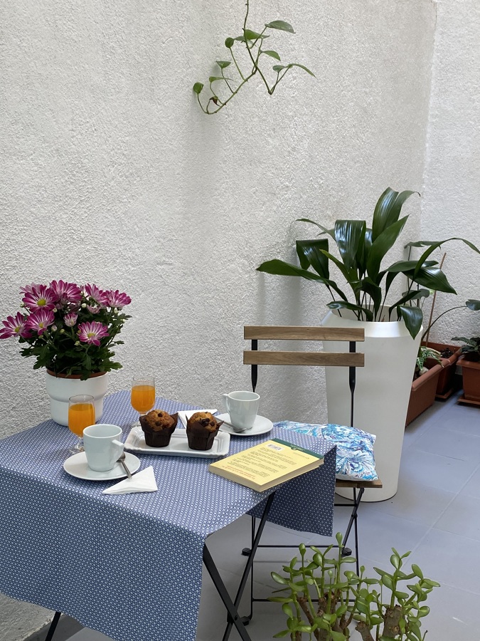 MINIPISO en Madrid: jardín interior