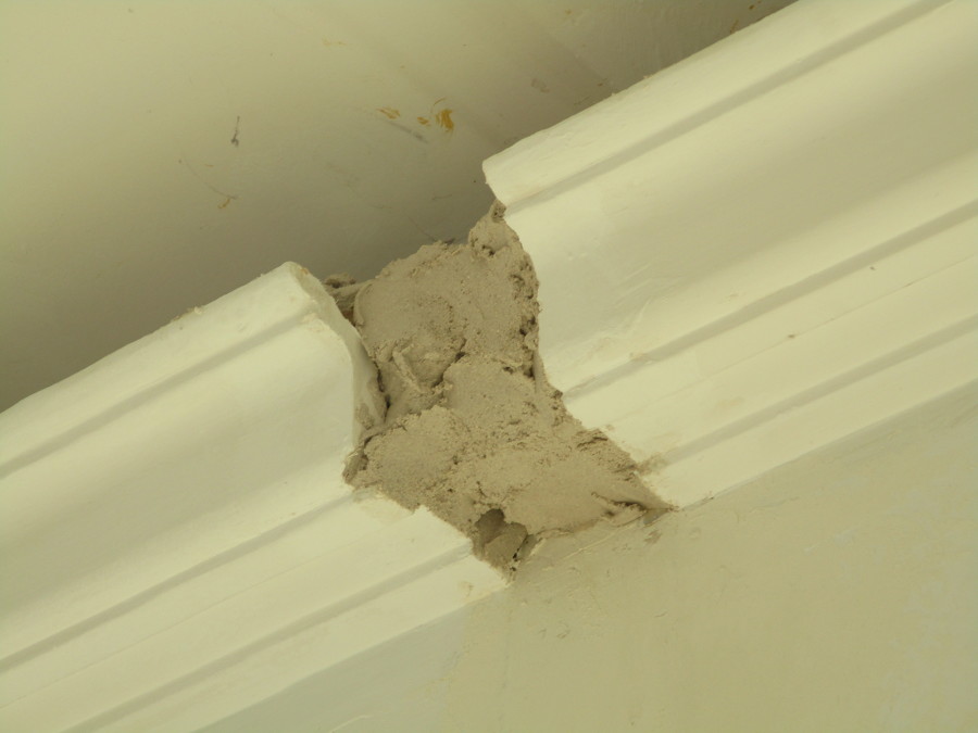 Moldura después de la demolición