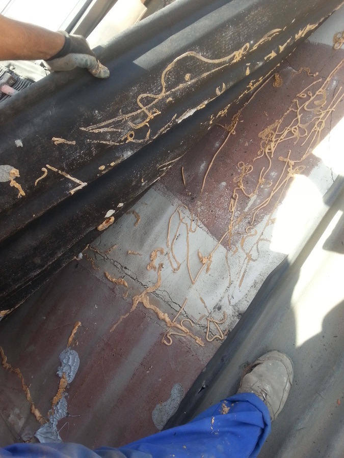 Motivo de filtraciones