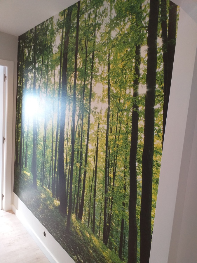 Mural bosque profundidad