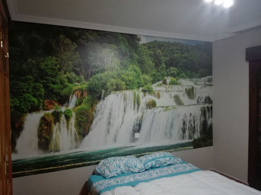 Mural con vinilo impreso especial para pared.