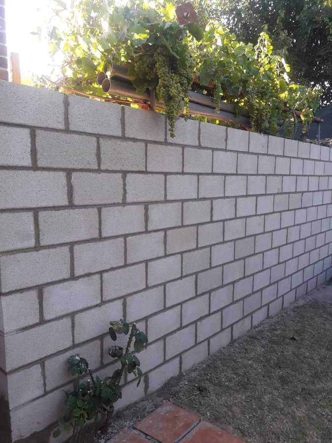 Muro
