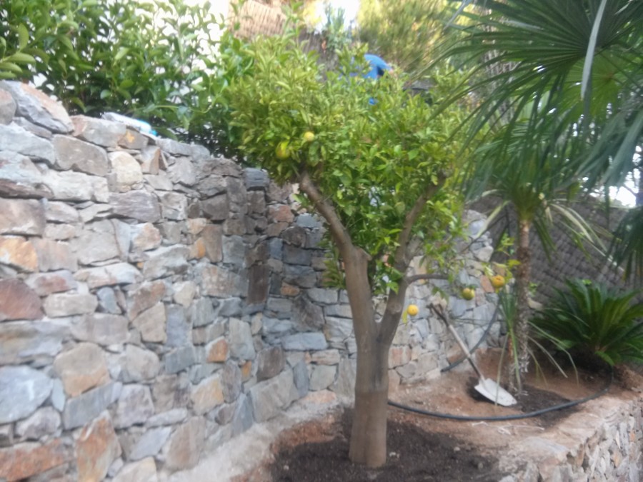 MUROS DE PIEDRA Y ESCALERAS DE TRAVIESAS.