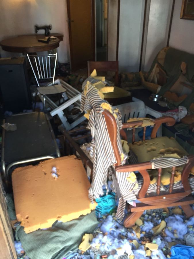 vaciado-piso-diogenes-barcelona-acumulacion-antes-02