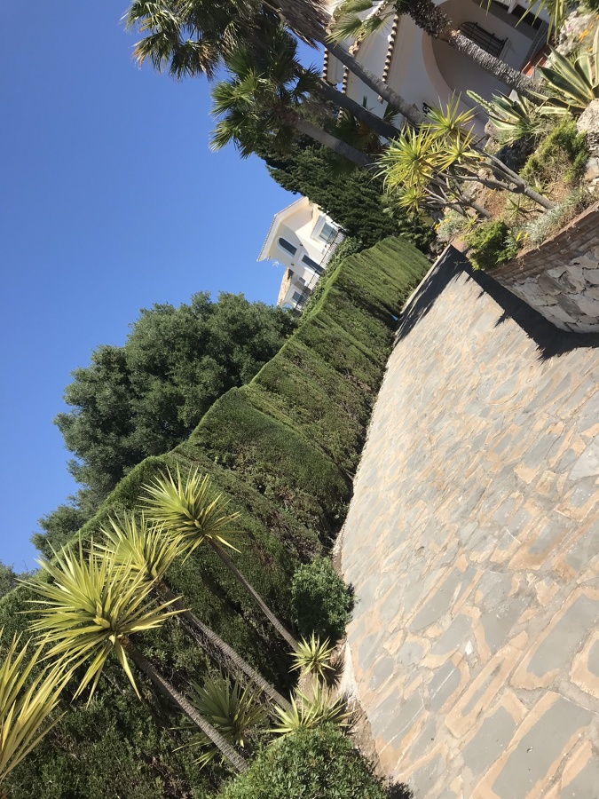 Nada mejor que encuéntrate y bonito jardín cuando vuelves a la casa!