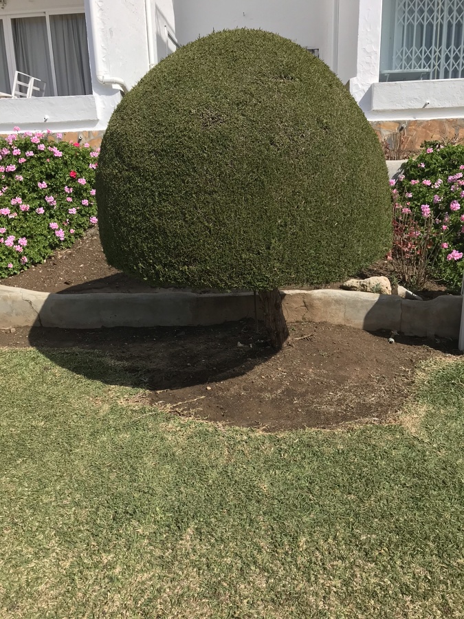 Nada no es imposible