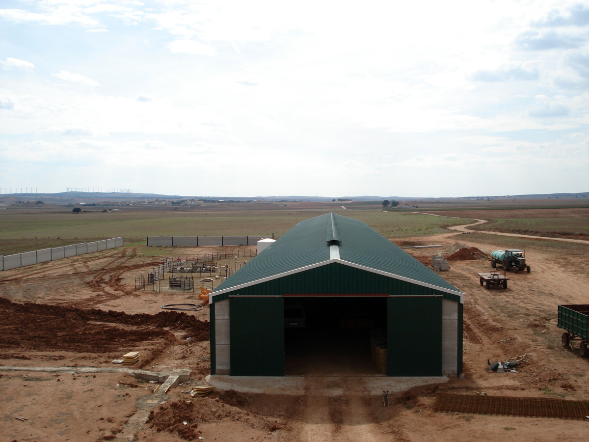 Nave Ganadera (Corral Rubio (AB))