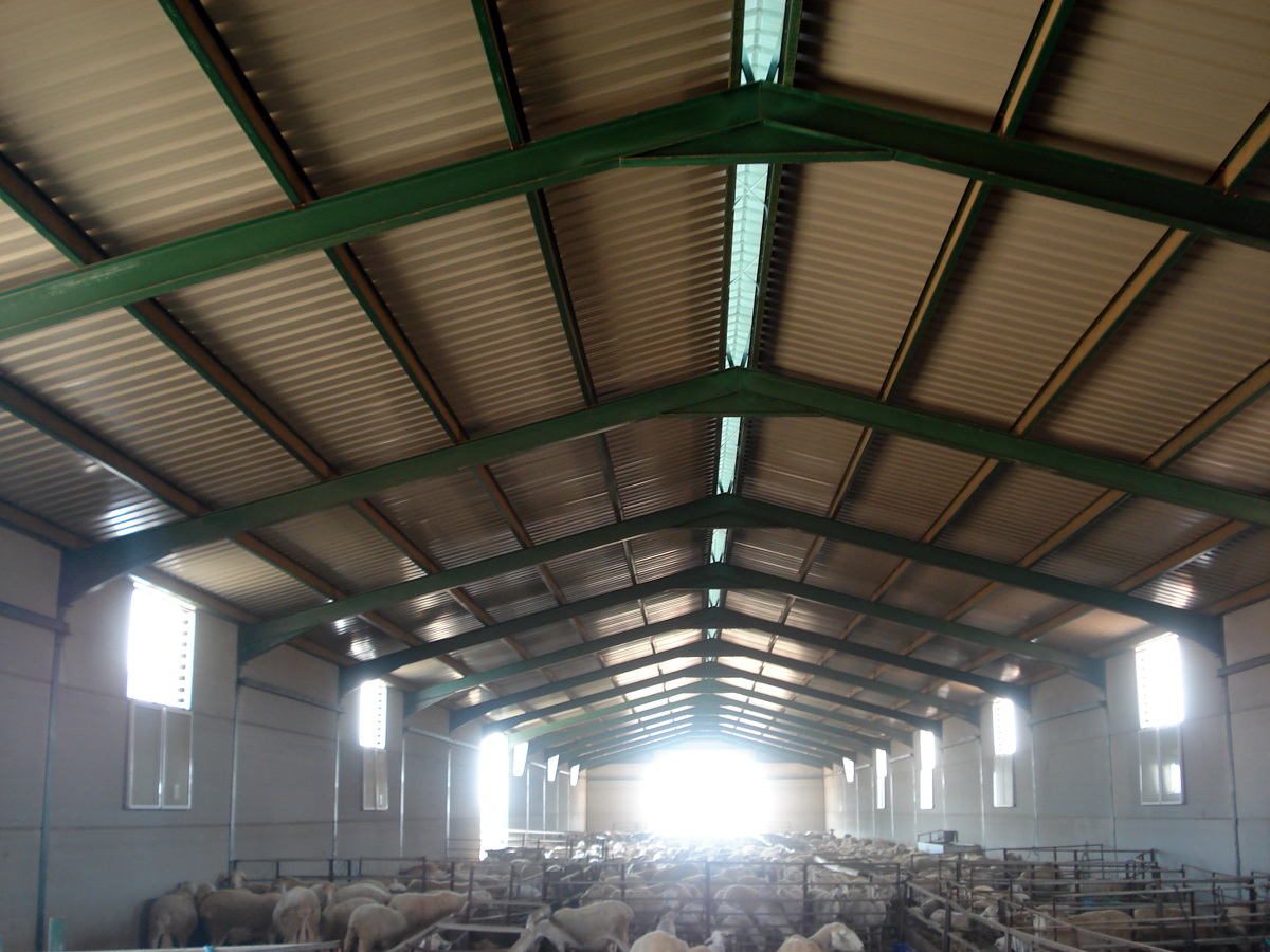 Nave Ganadera (Corral Rubio(AB))
