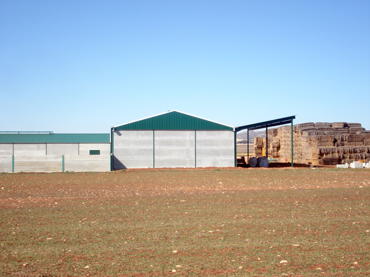 Nave Ganadera (Corral Rubio(AB))
